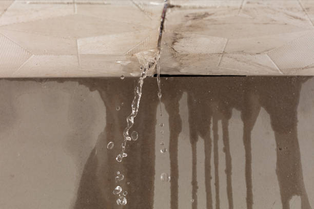 Professional Water Damage Restoration technician working in Eva, TN